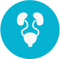 Urology