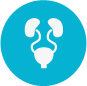 Urology